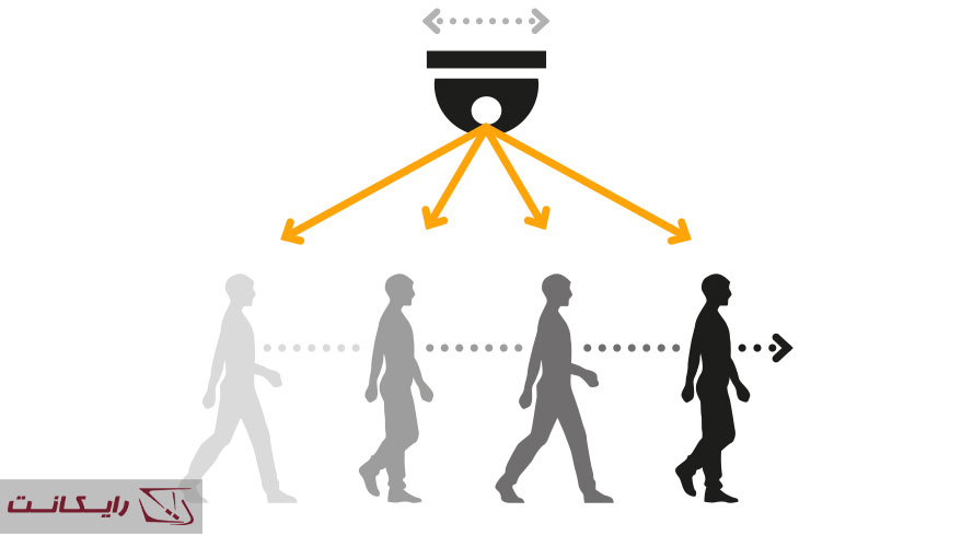 تعقیب سوژه اسپید دام